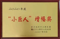 ”小巨h“增q奖